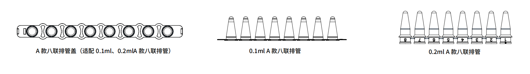 尺寸 a.png